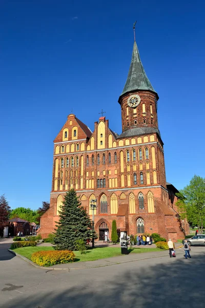 俄罗斯加里宁格勒 2017年5月13日 游客参观科尼希斯贝格大教堂 这座14世纪的哥特式寺庙是这座城市的象征 — 图库照片