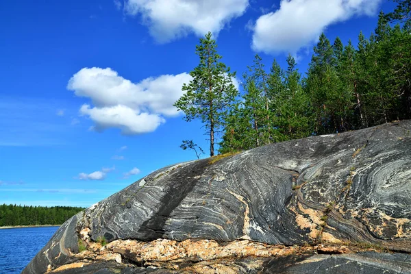 Hermoso Paisaje Karelia Rocas Pinos Agua Bahía Chupa Costa Del —  Fotos de Stock