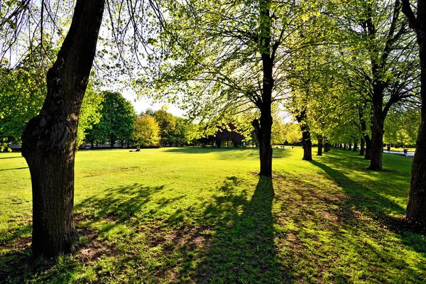 Kant Adası, eski adıyla Knaiphof, gün güneşli yaz. Kasaba halkı geri kalanının en sevdiğim yer. Kaliningrad, Rusya Federasyonu
