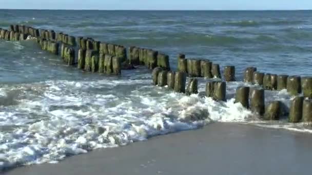 古い木製防波堤上でバルト海の休憩の波 ビデオのフル — ストック動画