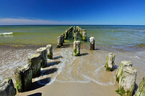 Gammal trä vågbrytaren på sandiga stranden av Östersjön — Stockfoto