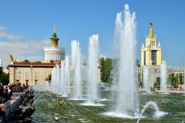 Moskova, Rusya - 12 Ağustos 2019: Çeşme Taşı Çiçeği Moskova'daki Vdnkh'te