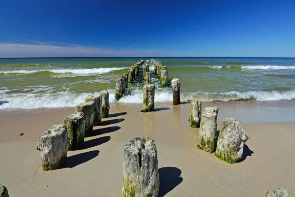 Old wooden breakwater on sandy shore of Baltic sea — Stock Photo, Image