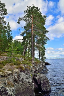 Karelya manzarası - kayalar, çam ağaçları, gökyüzü ve su. Keret Gölü, Kuzey Karelia, Rusya