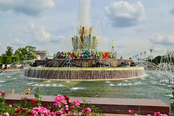 Moskau Russland August 2020 Brunnensteinblume Bei Wdnkh Moskau Vdnkh Allrussisches — Stockfoto