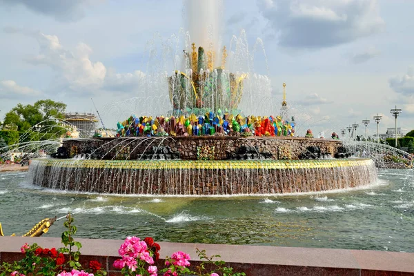 Moskau Russland August 2020 Brunnensteinblume Bei Wdnkh Moskau Vdnh Ausstellung — Stockfoto