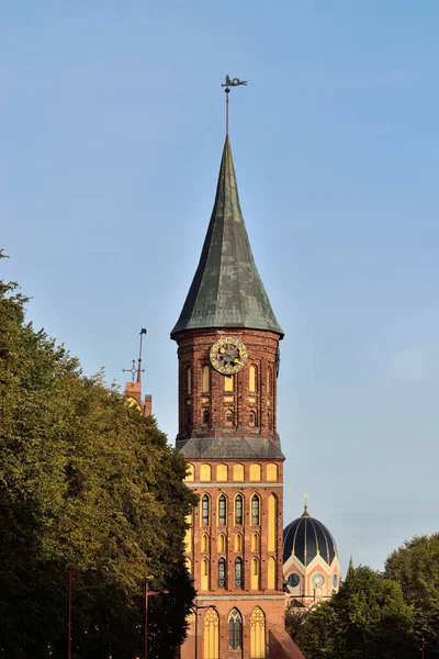 Kaliningrad Russland September 2020 Turm Der Königsberger Kathedrale Gotischer Tempel — Stockfoto