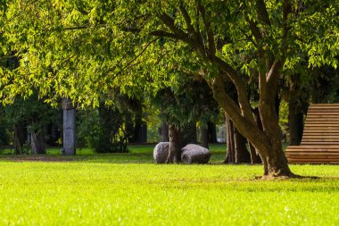 Güneşli bir yaz gününde Kant Adası, eski adıyla Kneiphof Adası. Vatandaşların en sevdiği tatil yeri. Kalininingrad, Rusya