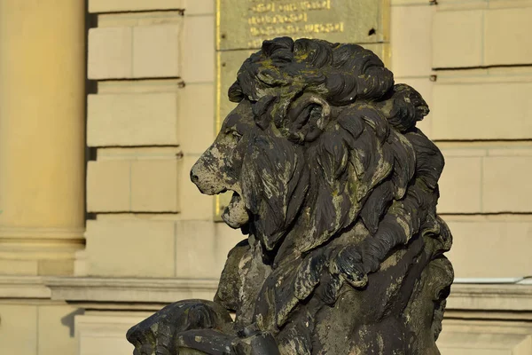 Kaliningrad Russia September 2020 Sculpture Lion Porch Kenigsberg Stock Exchange — Stock Photo, Image