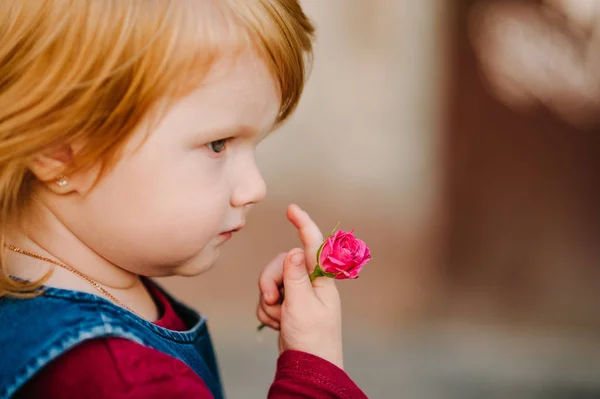Portrait Petite Fille Tenant Fleur Rose Main — Photo