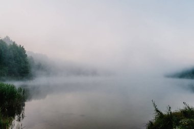 Panoramik pastel günbatımında sakin forrest Gölü