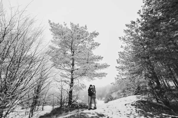 Πορτρέτο Του Ευτυχισμένο Ζευγάρι Στο Χειμώνα Χιονισμένο Τοπίο — Φωτογραφία Αρχείου