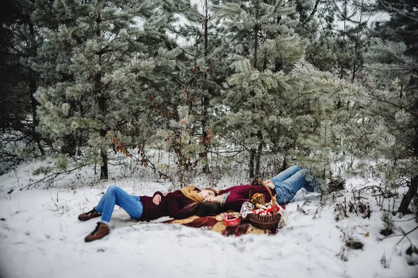 Πορτρέτο Του Νεαρό Ζευγάρι Πικνίκ Στο Χιονισμένο Πάρκο — Φωτογραφία Αρχείου