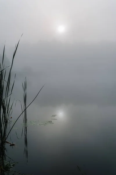 Vista Panorâmica Manhã Nebulosa Sobre Lagoa — Fotografia de Stock