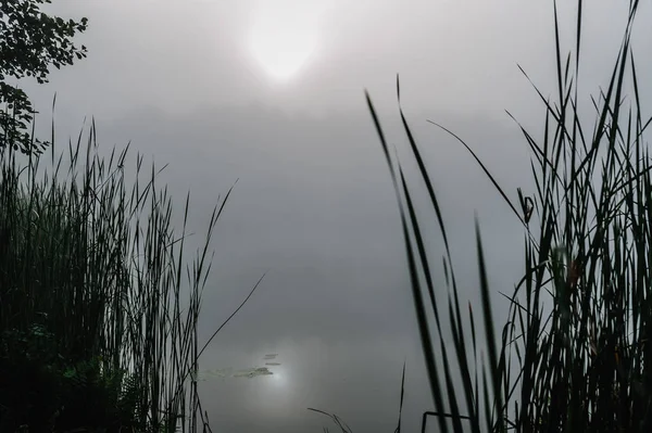 Сценический Вид Туманного Утра Над Прудом — стоковое фото