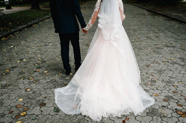 Ženich Nevěsta Chůzi Chodníku Drží Ruce Togather — Stock fotografie