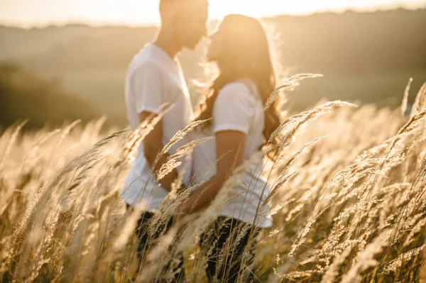 Silhouette Eines Jungen Paares Das Sich Herbstfeld Umarmt Und Küsst — Stockfoto
