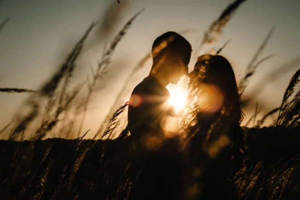 Silhouette of young couple hugging and kissing in autumn field