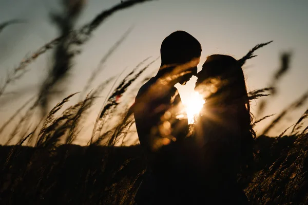 Silhouette of young couple hugging and kissing in autumn field