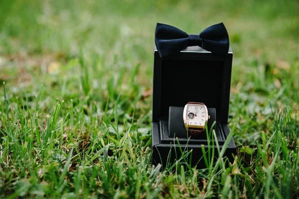 Elegant Expensive Luxury Watch Leather Strap Box Grass — Stock Photo, Image