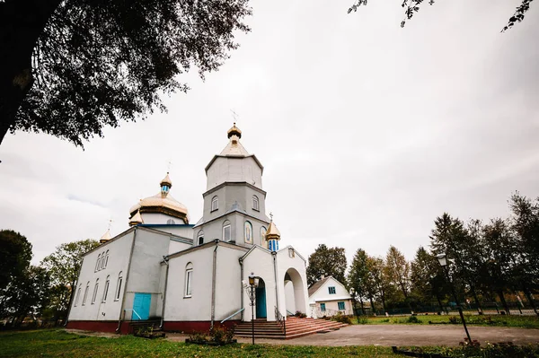 Ortodoks Kilisesi görünümü gri gökyüzü altında
