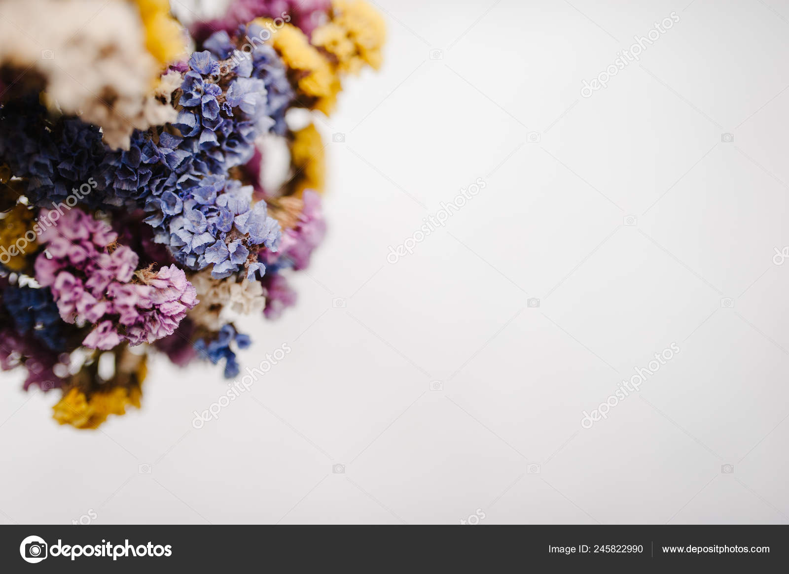 ドライフラワー写真素材 ロイヤリティフリードライフラワー画像 Depositphotos ドライフラワー写真素材 ロイヤリティフリードライフラワー画像 Depositphotos