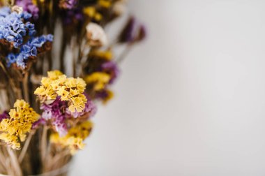 Beyaz arka plan üzerinde renkli kuru çiçekler ile kompozisyon