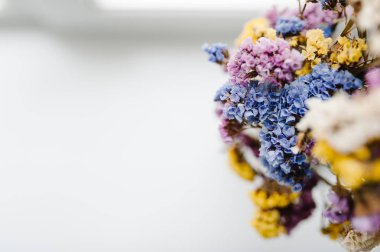 Beyaz arka plan üzerinde renkli kuru çiçekler ile kompozisyon