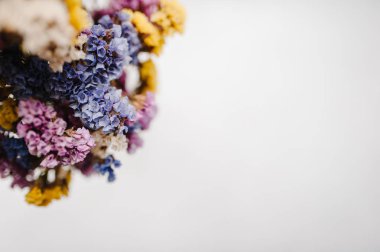Beyaz arka plan üzerinde renkli kuru çiçekler ile kompozisyon