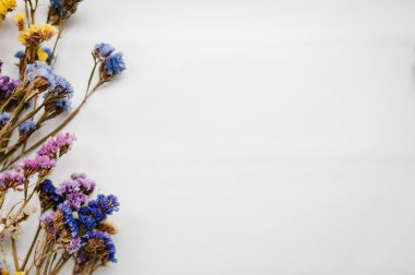 Beyaz arka plan üzerinde renkli kuru çiçekler ile kompozisyon