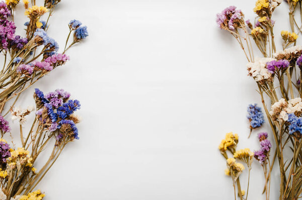 Composition with dried colored flowers on white background