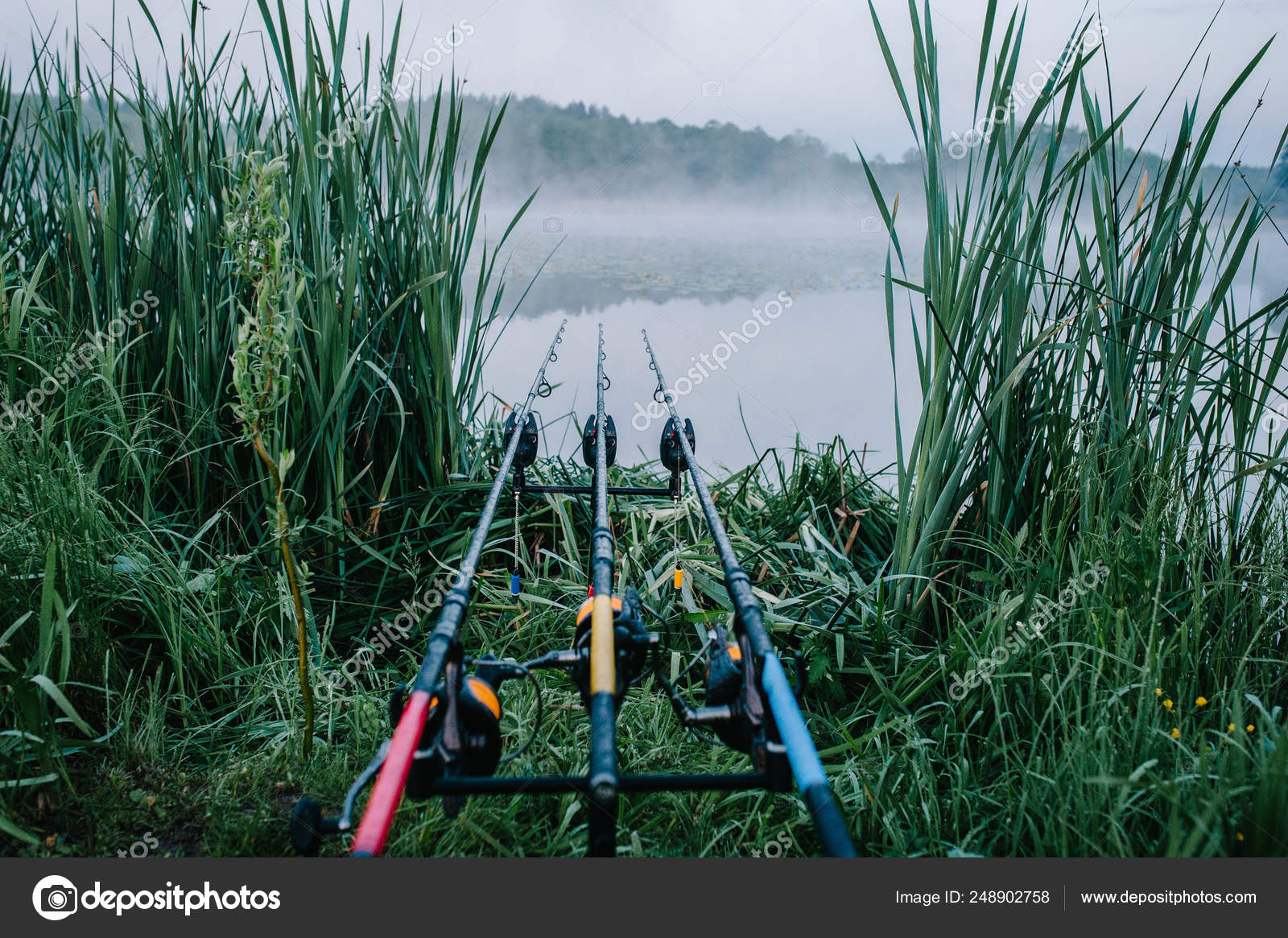 鲤鱼钓鱼竿在湖岸上的鱼竿吊杆在雾蒙蒙的早晨— 图库照片©Sobolevskyi