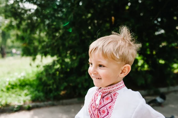 Joyeux Petit Garçon Chemise Brodée Amusant Dans Parc Été — Photo