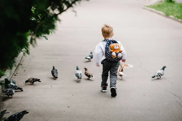 Щасливий Маленький Хлопчик Вишитій Сорочці Розважається Літньому Парку — стокове фото