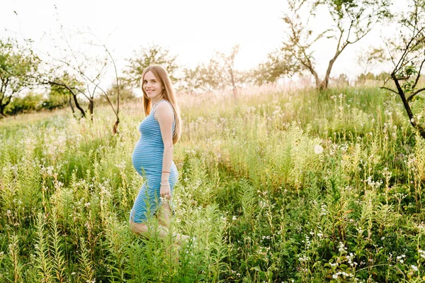 Giovane Donna Incinta Che Gode Sole Estivo Campo Verde — Foto Stock