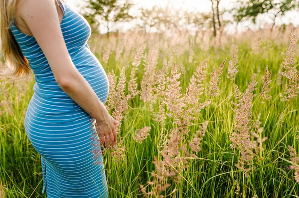 Беременная Молодая Женщина Наслаждается Летним Солнцем Зеленом Поле — стоковое фото