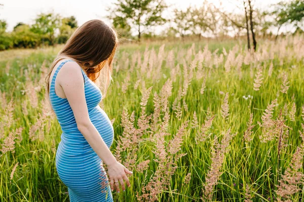 Těhotná Mladá Žena Užívající Letní Slunce Zeleném Poli — Stock fotografie