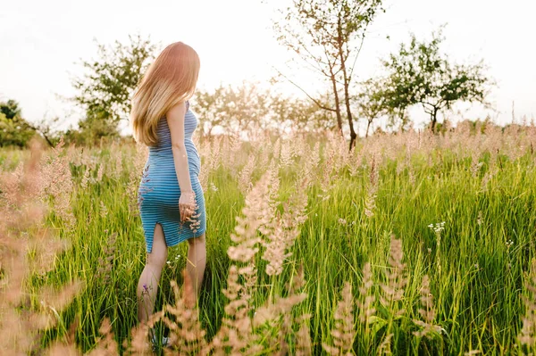 Gravida Ung Kvinna Njuter Sommar Solen Grönt Fält — Stockfoto