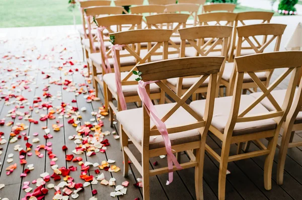 Wooden Chairs Decorated Pink Bow Ribbons Greens Backyard Banquet Area — Stock Photo, Image