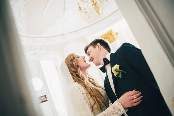 Magnificent Stylish Elegant Bride Stands Touches Groom Nose Hugs Background — Stock Photo, Image