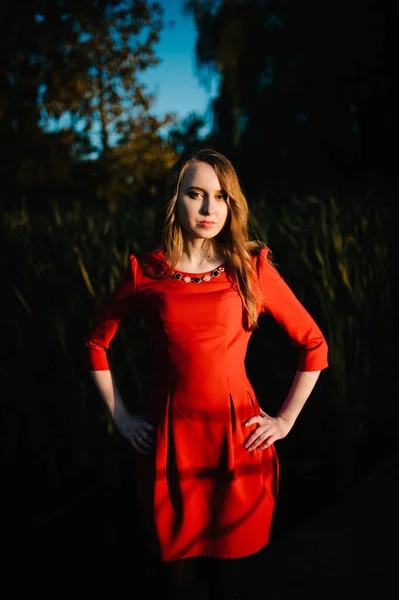 Retrato Uma Bela Menina Ficar Outono Vestido Vermelho Contra Fundo — Fotografia de Stock