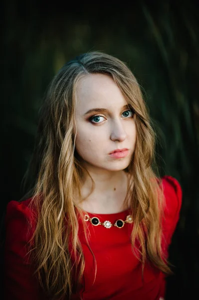 Retrato Uma Bela Menina Ficar Outono Vestido Vermelho Contra Fundo — Fotografia de Stock