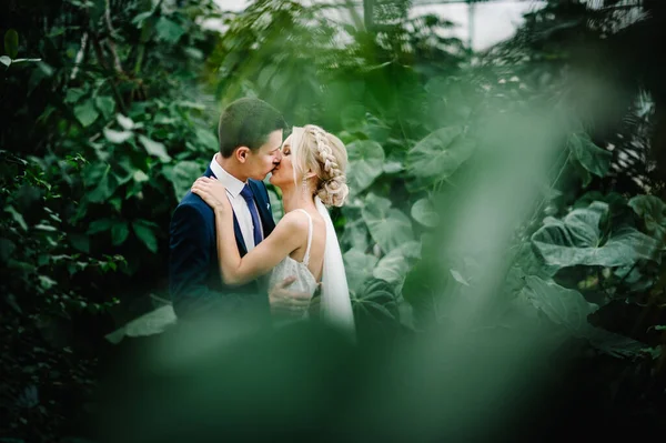 Recién Casados Están Pie Besándose Jardín Verde Botánico Lleno Vegetación — Foto de Stock