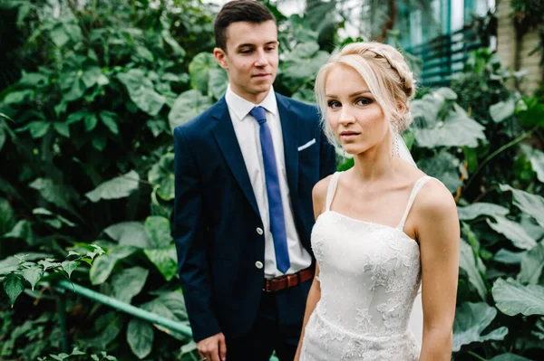 Groom Wedding Suit Bride Dress Standing Botanical Green Garden Full — Stock Photo, Image