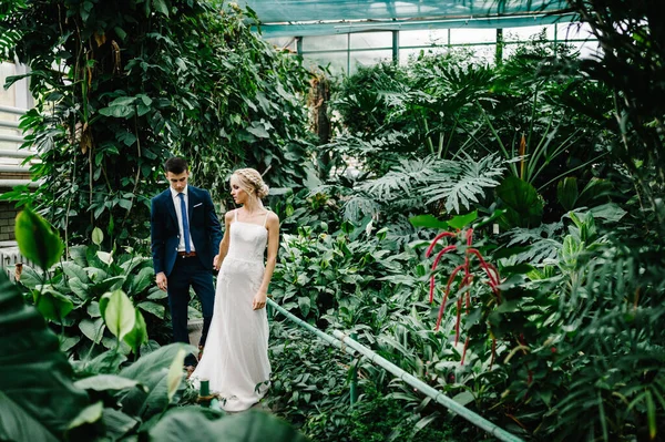 Portrait the groom in wedding suit and the bride in dress are going in the Botanical green garden full of greenery. Wedding ceremony. Newlyweds.
