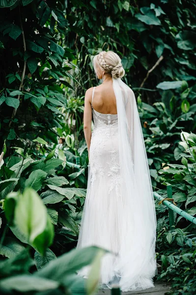 Support Arrière Femme Dans Jardin Botanique Vert Plein Verdure Portrait — Photo