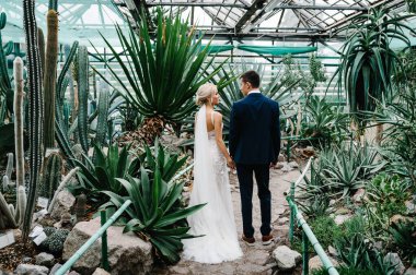 Damat ve gelinlik giymiş gelinin portresi yeşillik dolu botanik bahçesine geri dönüyor. Düğün töreni. Yeni evliler.