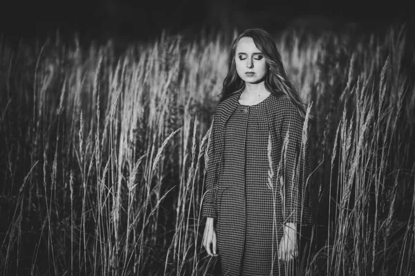 Портрет Красивой Девушки Осенью Высокой Длинной Траве Фоне Поля Природе — стоковое фото