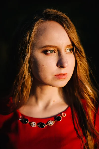 Πορτρέτο Ενός Όμορφου Κοριτσιού Φθινόπωρο Φόντο Πεδίο Της Φύσης — Φωτογραφία Αρχείου