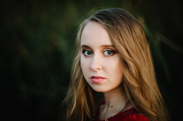 Retrato Uma Menina Bonita Outono Contra Fundo Campo Sobre Natureza — Fotografia de Stock